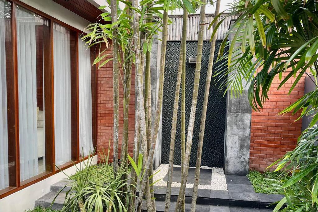 Plawa Seminyak (Bali)